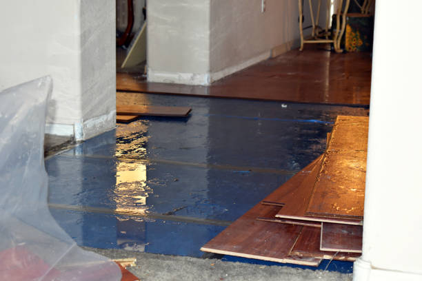 Professional Sewage Cleanup technician working in Leonia, NJ